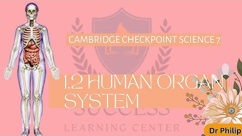 Cambridge Checkpoint Science 7 - 1.2 Human Organ System