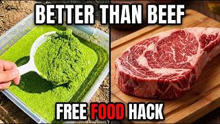 More Protein Than Beef Per Bucket, Banned by NASA's Sponsors, Growing in Your Backyard Right Now