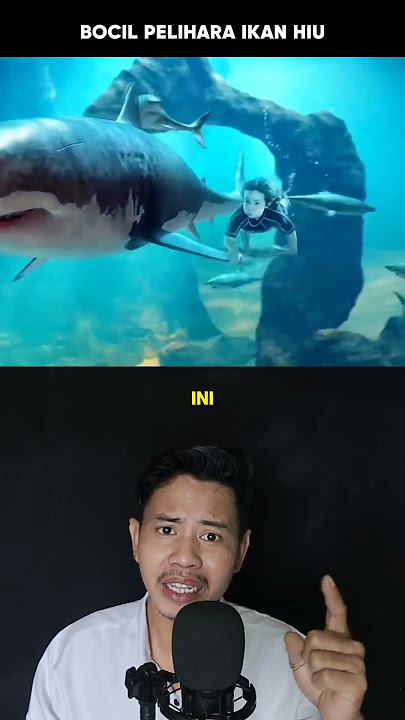 PELIHARA IKAN HIU ❌ DIPELIHARA IKAN HIU ✅ #shortvideo #alurceritafilm #film