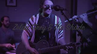 Video thumbnail of "Medicine Zelda Grey & The Shade Lil' Indies"
