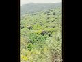 #The #nature #of# the# Kodaikanal#