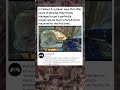 In Fallout 4, a player says that afteryears of playing, they finallymanaged #fallout4