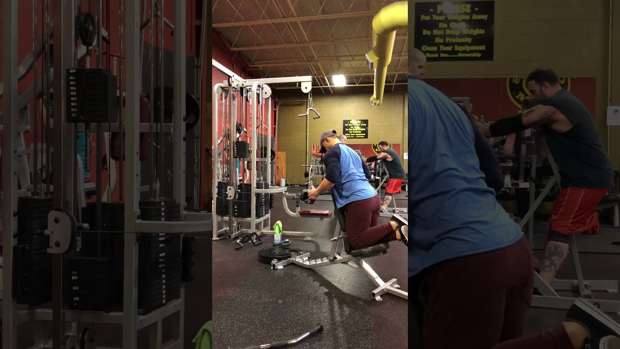 Chest Supported Neutral Grip Row YouTube