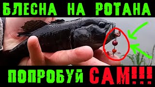 Ловля ротана на СУПЕР БЛЕСНУ на удочку! Ротан на спиннинг на червя.