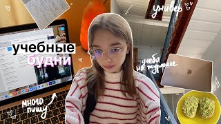 Study diary: мои учебные дни в универе ♡// будни студента-журналиста, study with me