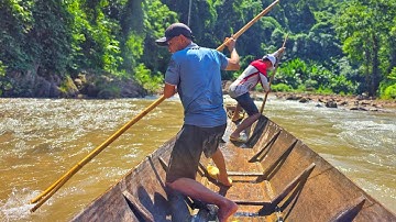 ĐI RỪNG SAU MÙA LŨ • Tìm Măng Rừng - Tập 1
