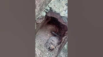 Sửa ống nước đơn giản với thiết bị dò tìm đường ống nước rò rỉ hiệu quả nhất #sieuamnuoc #plumbing