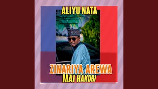 Zinariyar Arewa - Aliyu Nata