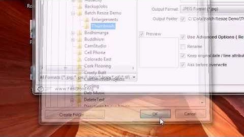 Batch Photo Resizing with FastStone Photo Resizer