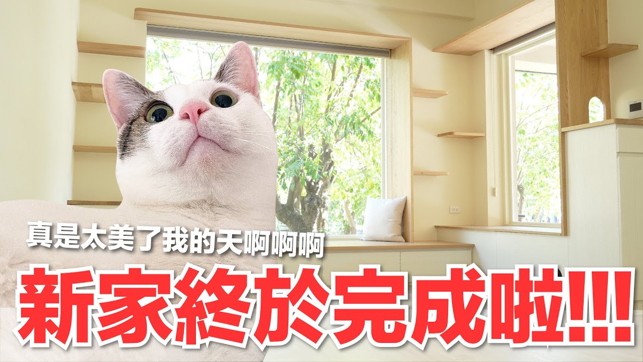 【好味小姐】新家終於完成啦！真是太美了我的天啊啊啊｜好味貓日常168