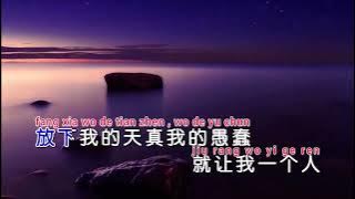 Zai Mei You Liu Lei De Ren new no vokal