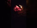 شب نار الكيف شب نار الكيف