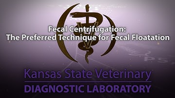 Fecal Centrifugation