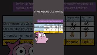 Warum Menschen 46 Chromosomen haben 😱#mitose  #meiose  #Haploid #diploid