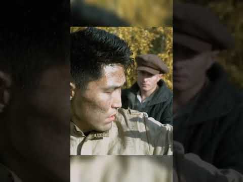 Рядовой Чээрин сбегает от немцев. Чээрин встречает партизан. #shorts #снайпер #боевик #история