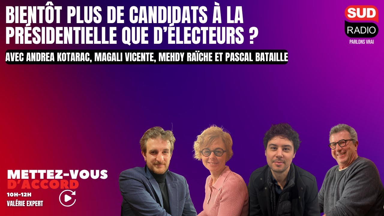 Bientôt plus de candidats à la  présidentielle que d’électeurs ?