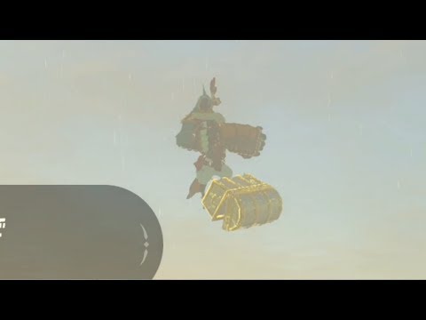 トリが浮くわけないだろ！