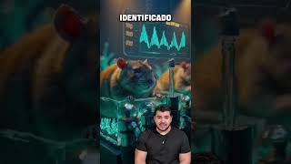 LOS ANIMALES PUEDEN PREDECIR DESASTRES?#naturaleza #nature #wildlife #animals #animales #animal