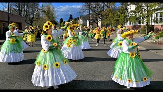 Samba OlyWa band & dancers ready to pound the drums & pavement on Arts Walk/Procession weekend by Steve Bloom 57 views 12 days ago 2 minutes, 31 seconds