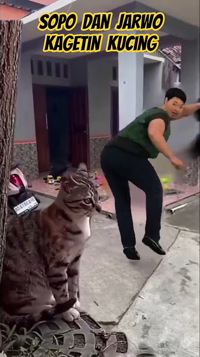 Sopo Jarwo bikin kaget kucing pakai kentut #komedi #lucu #hiburan #viralvideo