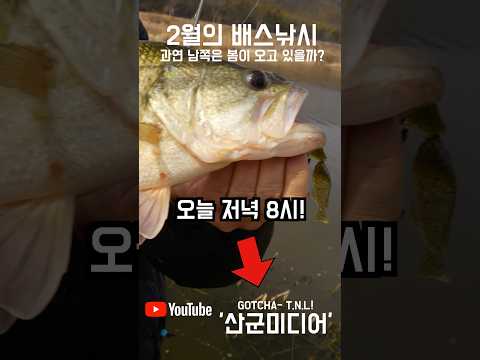 #<strong>배스낚시</strong> #피쉬맥스 #잇세이
