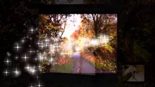 Download Lagu NTO (naya tarana orchestra) door Usha van Daalen MP3 Download Lagu NTO (naya tarana orchestra) door Usha van Daalen MP3