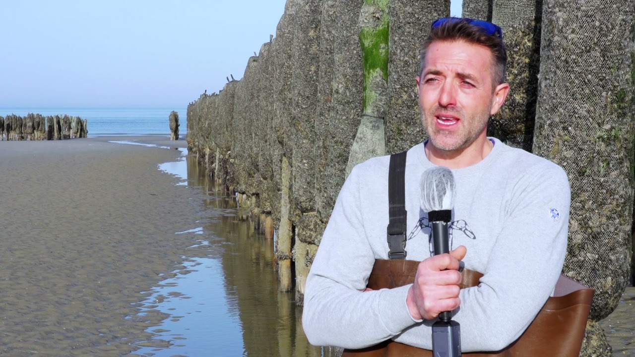 Filière halieutique : zoom sur l’entreprise Moules de bouchot du Mont Saint-Frieux