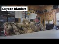 Coyote Fur Blanket