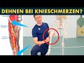 Hüftbeuger dehnen bei Knieschmerzen - 4 einfache Übungen!