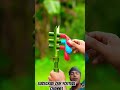 Three Ballone slingshots with bamboo creations #bamboo #satisfying #archery #toys