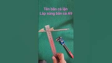 Tên bắn cá lặn lắp súng bắn cá A9 #speargun