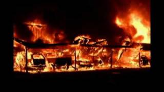 CSFD Year In Review Part 1 CSFD Year In Review Part 1