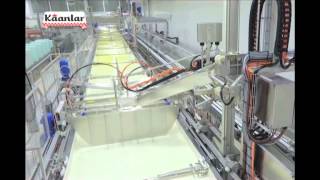 İnsansız Geleneksel Türk Peyniri Üretim Teknolojisi Resimi