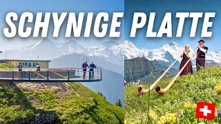 SCHYNIGE PLATTE: Panorama Hike & Jungfrau Views just next to Interlaken in the Swiss Alps!