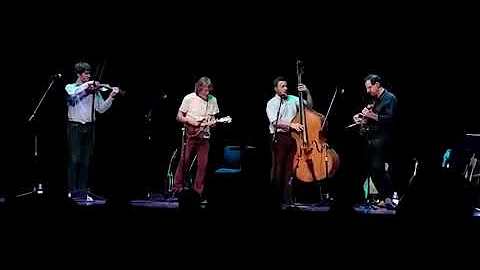 Bush / Marshall / Meyer / Meyer in Meridian, MS