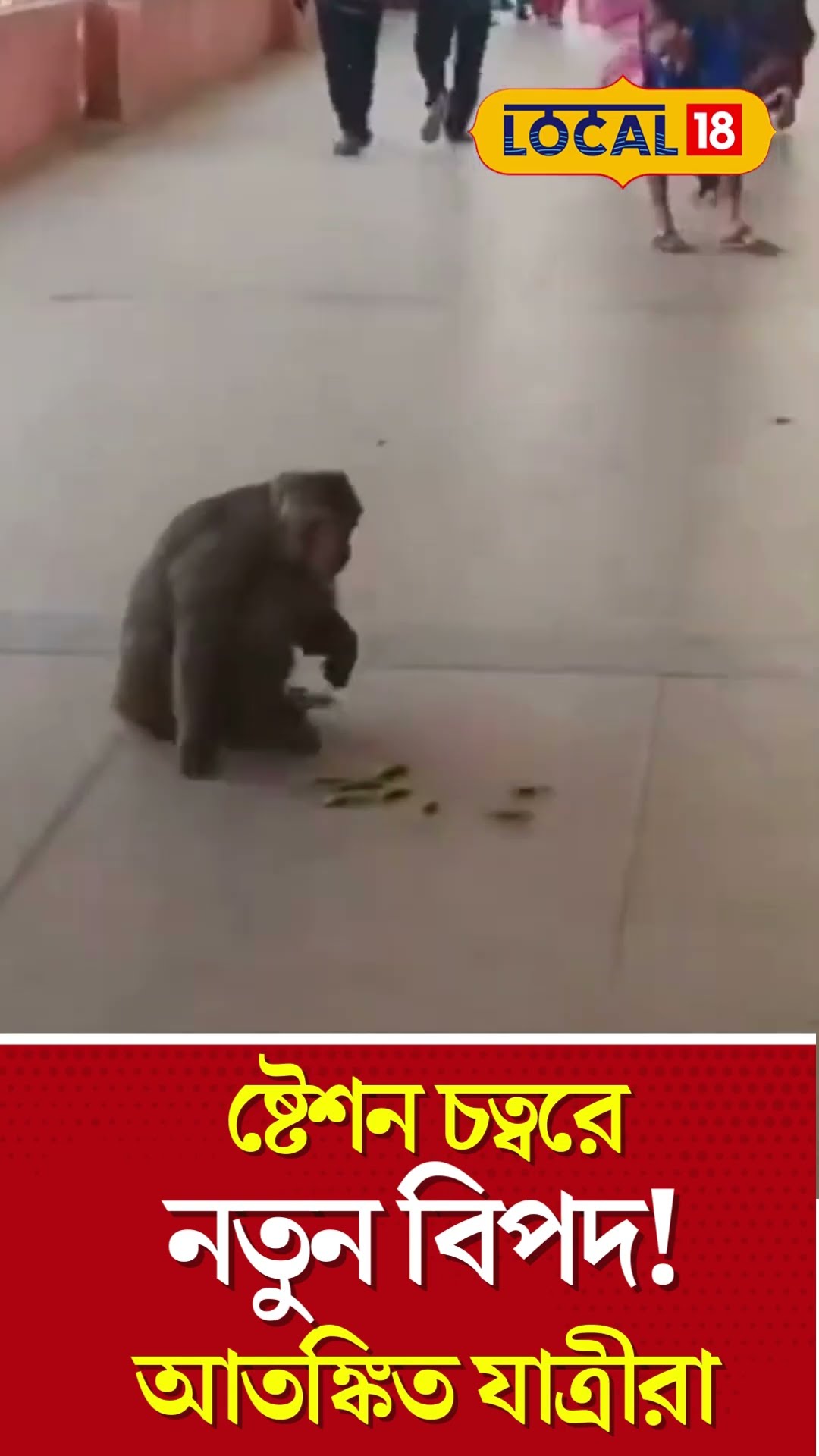 Bangla News: ষ্টেশন চত্বরে নতুন বিপদ! আতঙ্কিত যাত্রীরা। West Bengal | Indian Railways #Local18Shorts