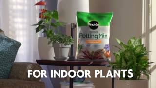 How To Use Miracle-Gro® Indoor Potting Mix