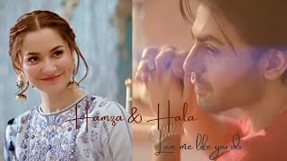 Hala & Hamza VM |love me like you do|