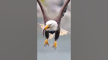 This Trick Will Blow Your Mind! (MUST SEE) Generated using YouTools https://play.google.com/store/