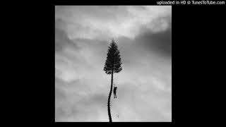 The Alien / The Sunshine / The Grocery // Manchester Orchestra