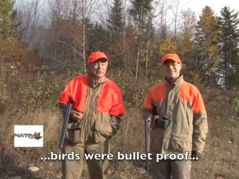 Grouse Hunting in Maine