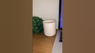 Easy Control with Hue Dimmer Switch | Smart Lighting Made Simple