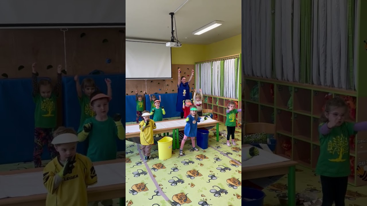 Analýza otázek Včeličky