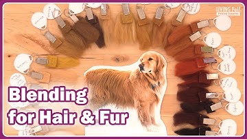Best Colors and Blends for Needle Felting Realistic Hair and Animal Fur #livingfelt