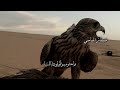 الشاعر مهدي بشير التمامي لاعاد غلا لاغيه الشاعر مهدي بشير التمامي لاعاد غلا لاغيه