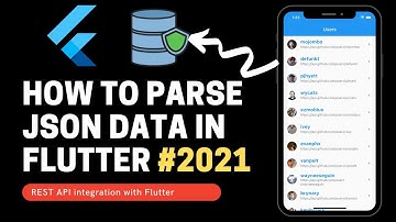 REST API integration with Flutter | HttpClient || Github API  App || Show User