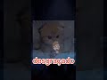 Escutei passos...#fnafintothepit #vtuber #vtuberbr #fnaf #Ani_Lord #ani_lord #gameplay #intothepit