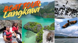 Mangrove river, Bat Cave, Boat tour, Eagles, Monkeys at Kilim Geo Forest, Langkawi. 4K