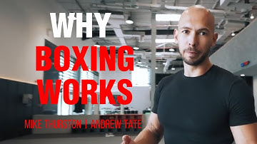How to Box in 10 Minutes from Andrew Tate | Former 4x Kickboxing World Champion