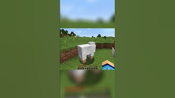 Minecraft Shulker Box Hacks!